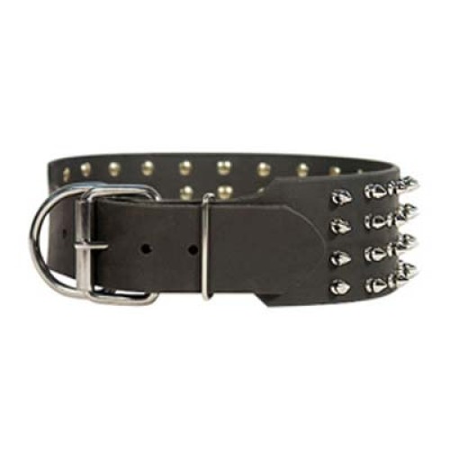 Dog Collars